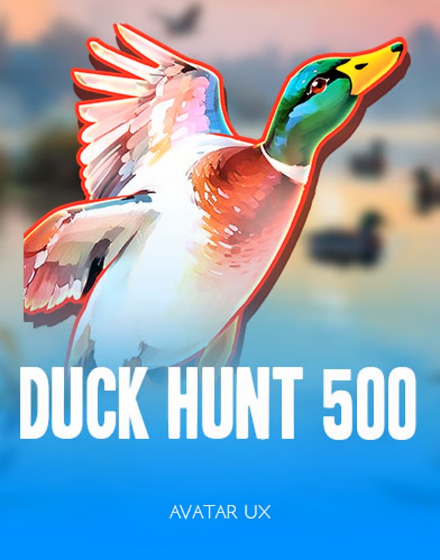 Duck Hunt 500